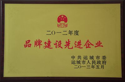 品牌建設先進企業(yè)
